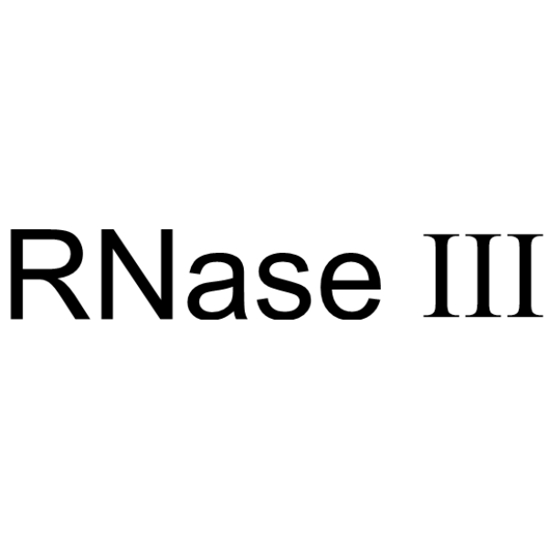 RNase III